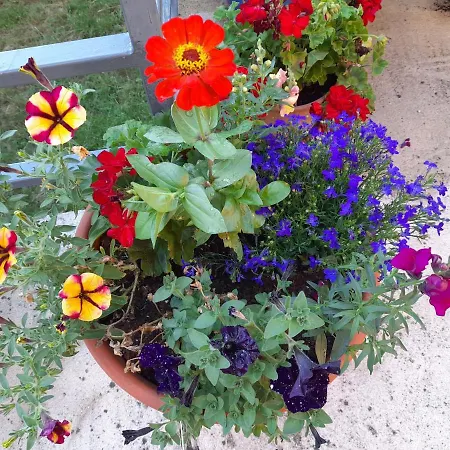 Chambres D'hotes La Roumec Bed & Breakfast