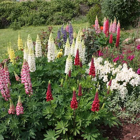 Chambres D'hotes La Roumec Escandolieres