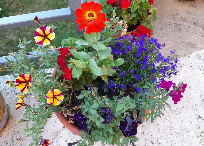 Chambres D'hotes La Roumec Bed & Breakfast