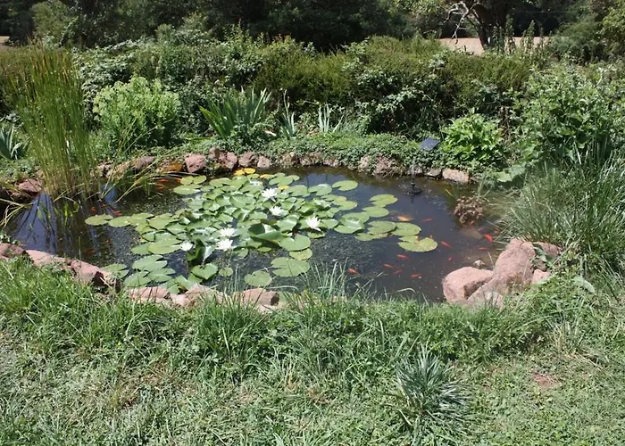 Bed & Breakfast Chambres D'hotes La Roumec